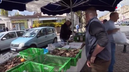 Charentes : deuxième séisme en trois semaines