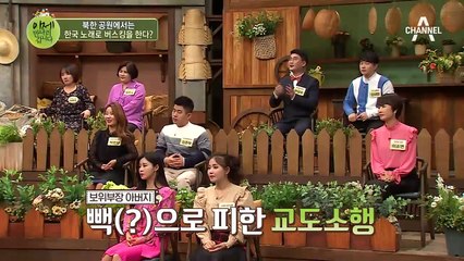 북한 공원에서 한국 노래로 버스킹을? 평양음악대학 출신의 노래 들어봅시다~♬