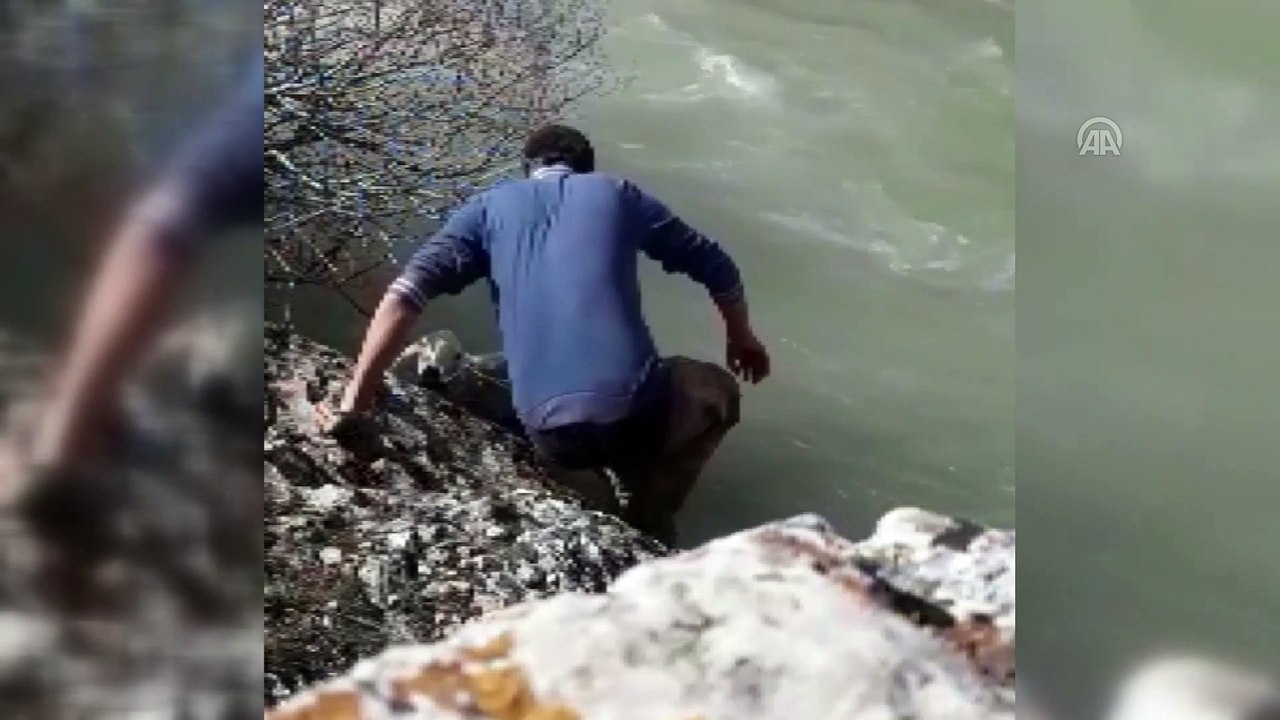 Çaya düşen koyunu piknikçi öğretmen kurtardı - KAHRAMANMARAŞ