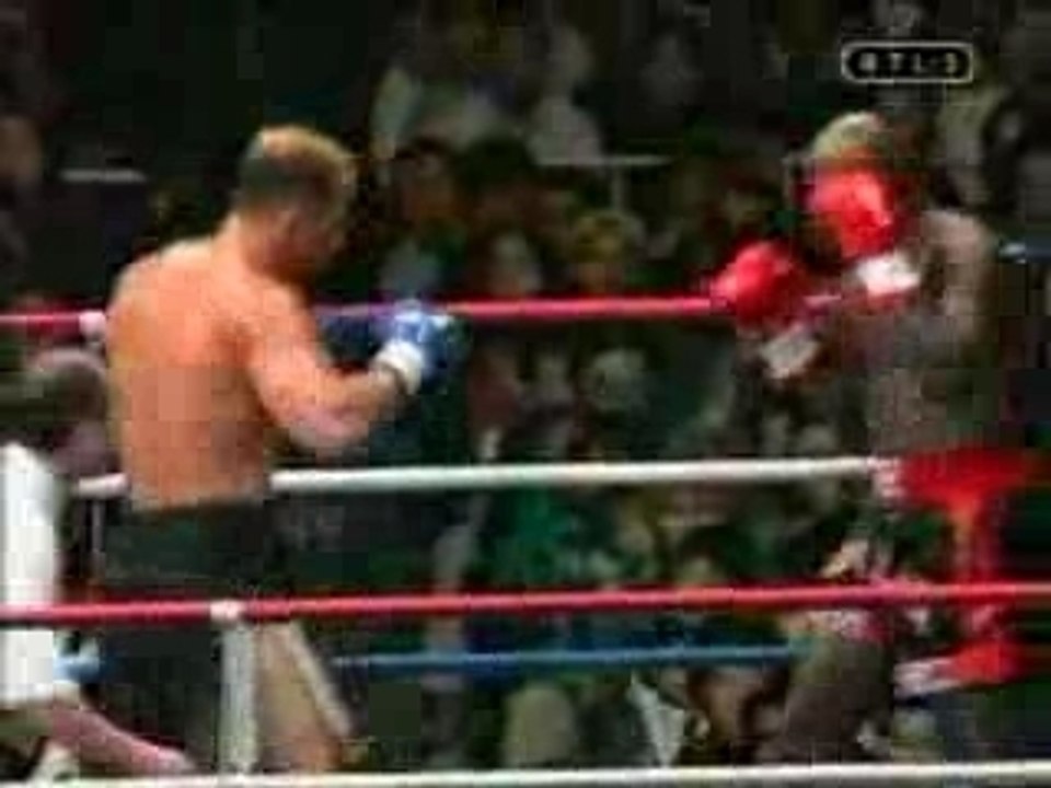 Ernesto Hoost Vs. Jerome Le Banner