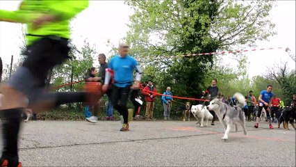 Tous mordus du 4e crosscanin du refuge animalier Saint-Roch à Valence