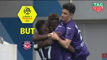 But Issiaga SYLLA (55ème) / Toulouse FC - FC Nantes - (1-0) - (TFC-FCN) / 2018-19