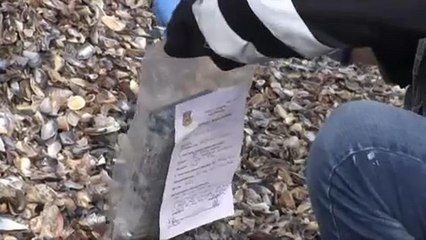 Ρουμανία: 130 κιλά κοκαΐνης ξεβράστηκαν στις ακτές