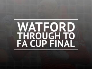 Watford comeback to beat Wolves