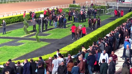 7. Uluslararası Portakal Çiçeği Karnavalı - ADANA