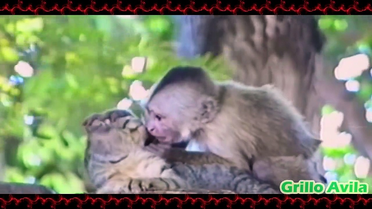 Un Clásico Del Internet "No Puede Decir Fantasma"