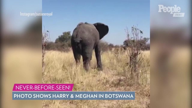 Meghan Markle and Prince Harry Share Never-Before-Seen Photo from 2017 Botswana Trip on Instagram