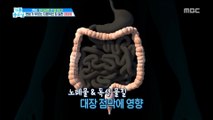 [HEALTH] Constipation, not a minor disease, can develop into colon cancer?,기분 좋은 날20190408