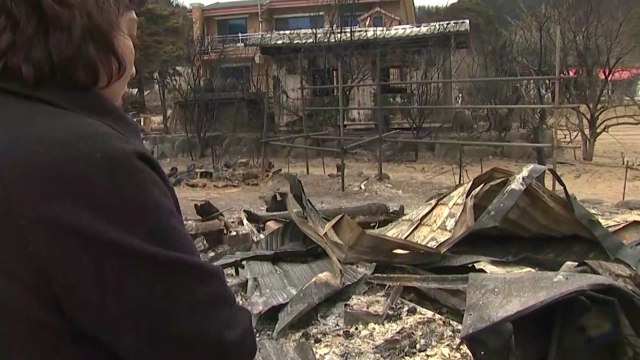 '소방관 국가직' 청원 봇물...산불 이재민 보상은? / YTN