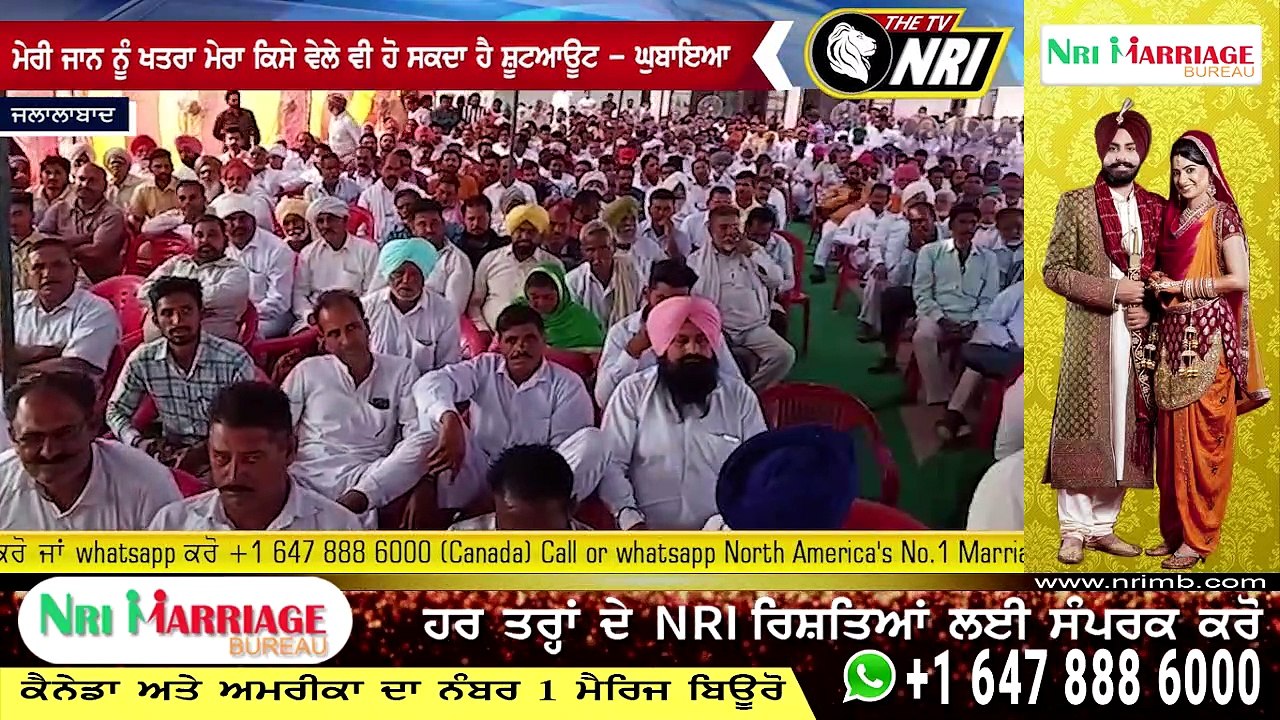 ਕਾਂਗਰਸੀ ਆਗੂ ਸ਼ੇਰ ਸਿੰਘ ਘੁਬਾਇਆ ਨੇ ਕਿਹਾ - ਮੇਰੀ ਜਾਨ ਨੂੰ ਵੱਡਾ ਖਤਰਾ