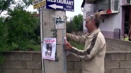 Kaybolan Köpeğini Diğer Köpeklerle Birlikte Arıyor