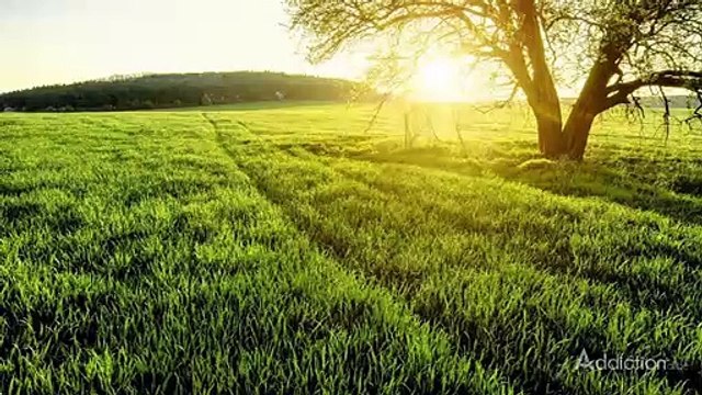 Gallus Detox Centers Texas