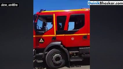 किसी स्टंटमैन से कम नहीं ये बिल्ली, बिजली के खंभे पर चलने लगी