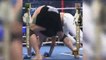 Sport - Royce Gracie, king of Brazilian jiu-jitsu, against sumo legend Akebono