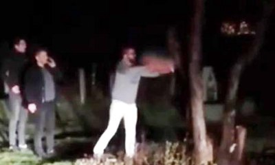 Piknikte odun bitti, ağacı kesip yaktılar