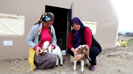 Eşinin bir oyla kaybettiği muhtarlığı 11 oy farkla aldı - KONYA