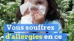 Ces experts basés près de Lyon traquent... les pollens !
