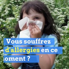 Ces experts basés près de Lyon traquent... les pollens !