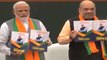 BJP Manifesto 2019: பல அறிவிப்புகளுடன் வெளியான பாஜகவின் தேர்தல் அறிக்கை - வீடியோ