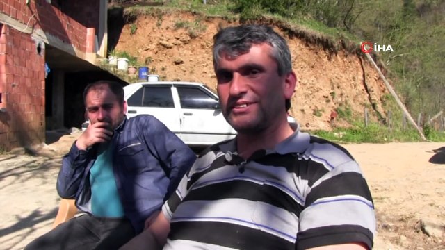 Borçka'da ayı saldırıları köylüleri canından bezdirdi