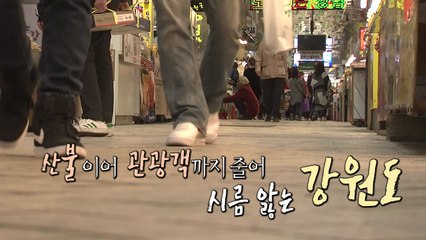 [영상] 대형 산불 이후...관광객 줄어든 강원도 　 / YTN