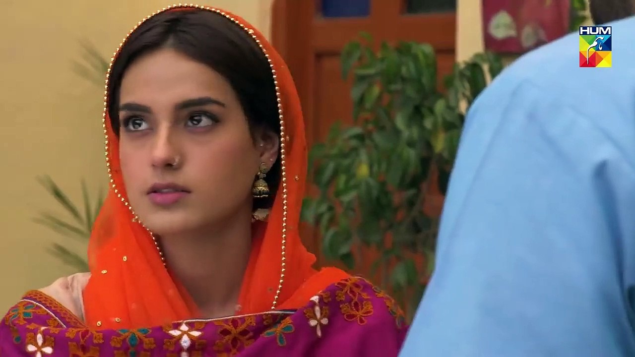 Ranjha Ranjha Kardi Episode #23 HUM TV Drama