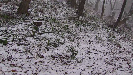 내일 단비에 강원 산간 대설..."산불 한숨 돌린다" / YTN