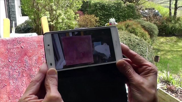 Chiroptera Universalis : peinture en réalité augmentée (Alain MARC, technique mixte sur toile)