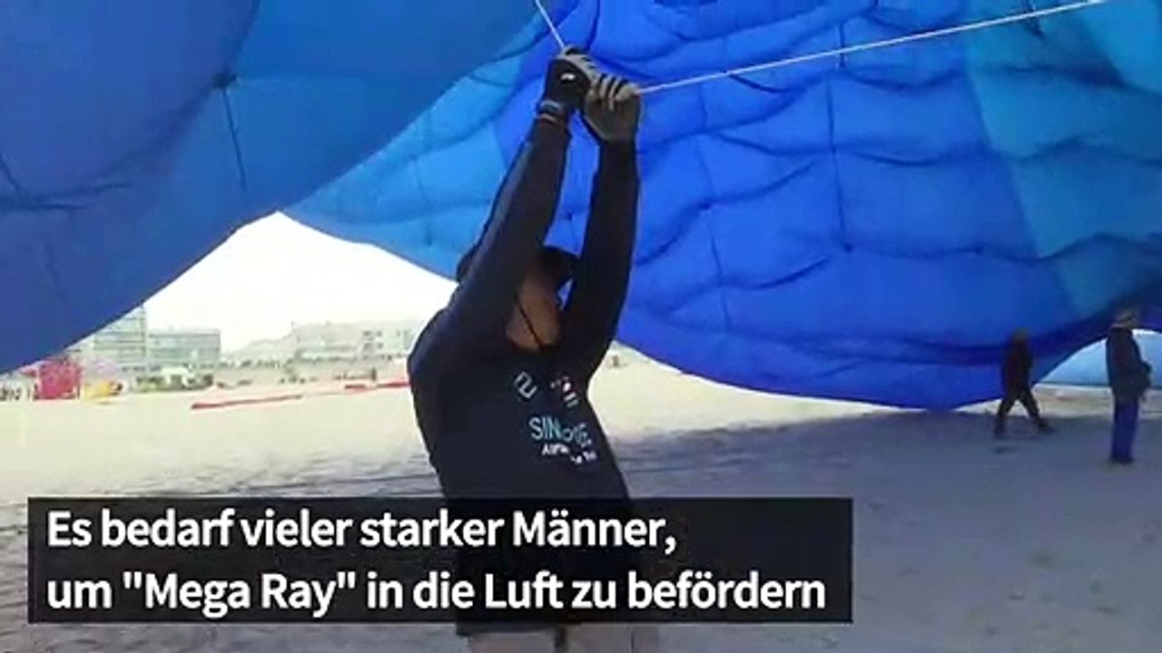 Rekord-Drachen steigt in Frankreich auf