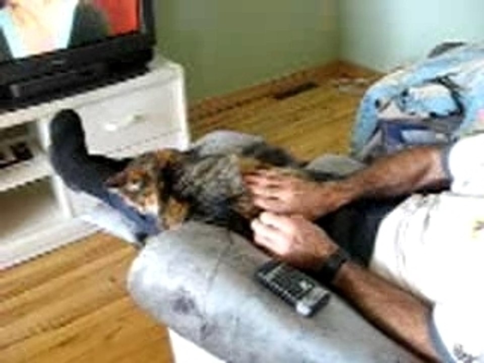 Mistouk la petite chatte..