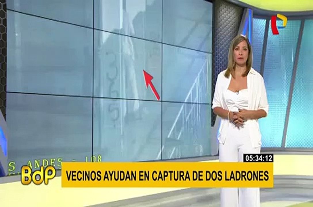 Tumbes: capturan a delincuentes tras asaltar a joven aparentemente ebrio