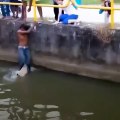 Cet homme a sauvé un chien de la noyade. Un vrai héro !