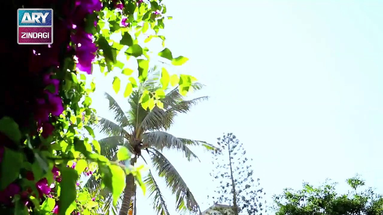 Tum Meri Ho Episode 23 - on ARY Zindagi in High Quality 8th April 2019