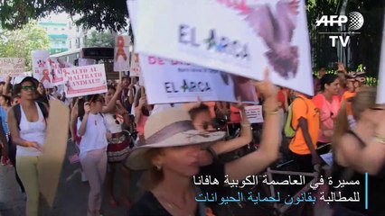 مسيرة للمطالبة بقانون لحماية الحيوانات في كوبا