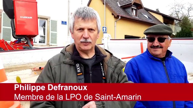 Des nids artificiels pour les hirondelles de Leimbach