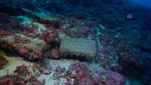 3 Bin 600 Yıllık Gemi Batığı Bulundu - Antalya