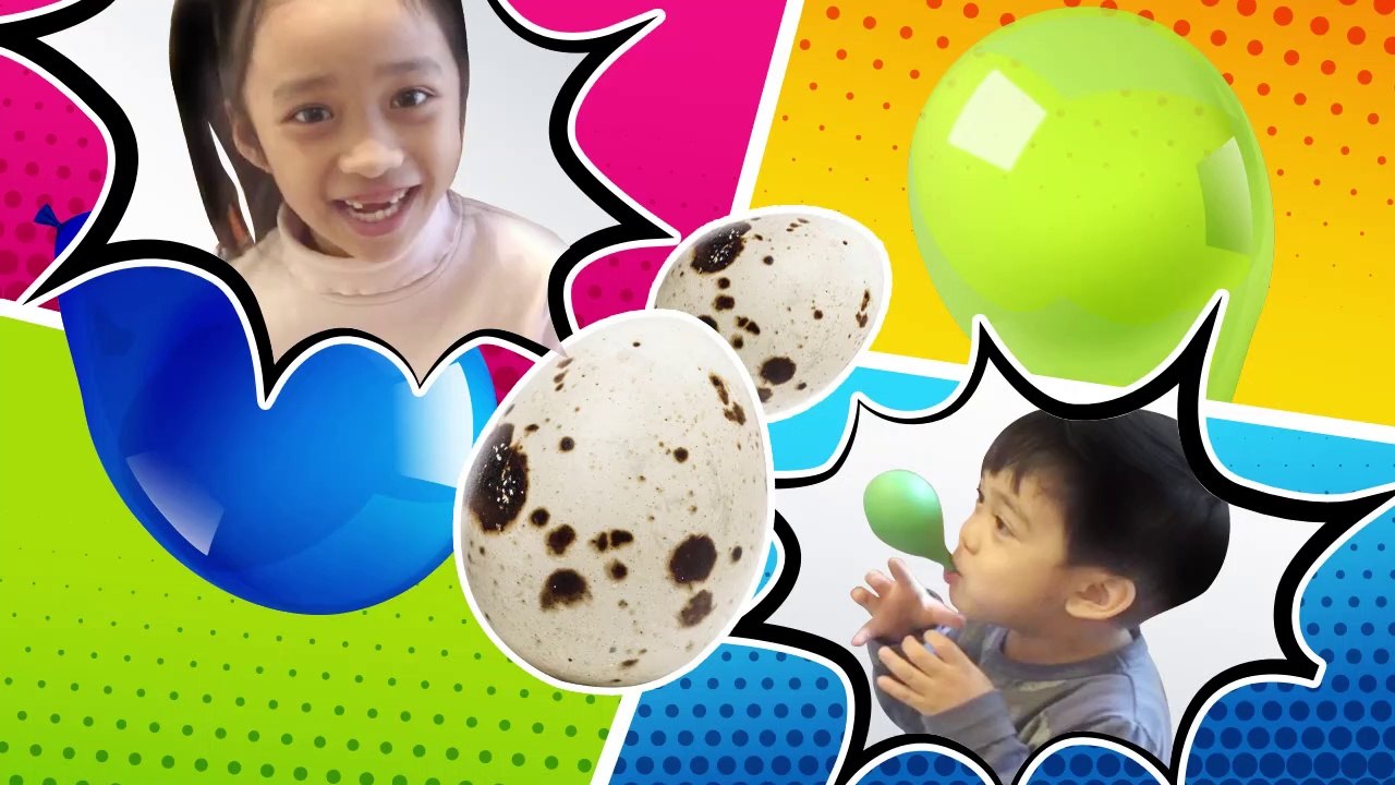 BALLOON POPPING AND QUAIL EGGS EATING CHALLENGE