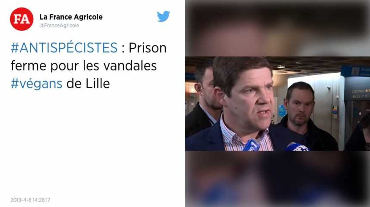 Lille. Deux activistes antispécistes condamnés à 10 et 6 mois de prison ferme