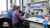 GLOBAL NEWS: Swiss scientists create first computer generated genome