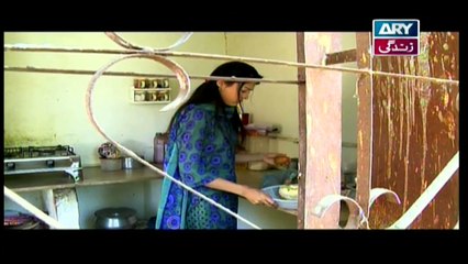 Mehmoodabad Ki Malkain Episode 17 & 18 on ARY Zindagi in High Quality 8th April 2019