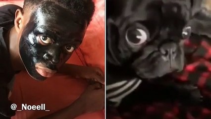 Une ressemblance qui va vous tordre de rire ! Regardez !