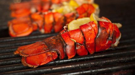 Leftover Lobster Shells Present Plastic Alternative
