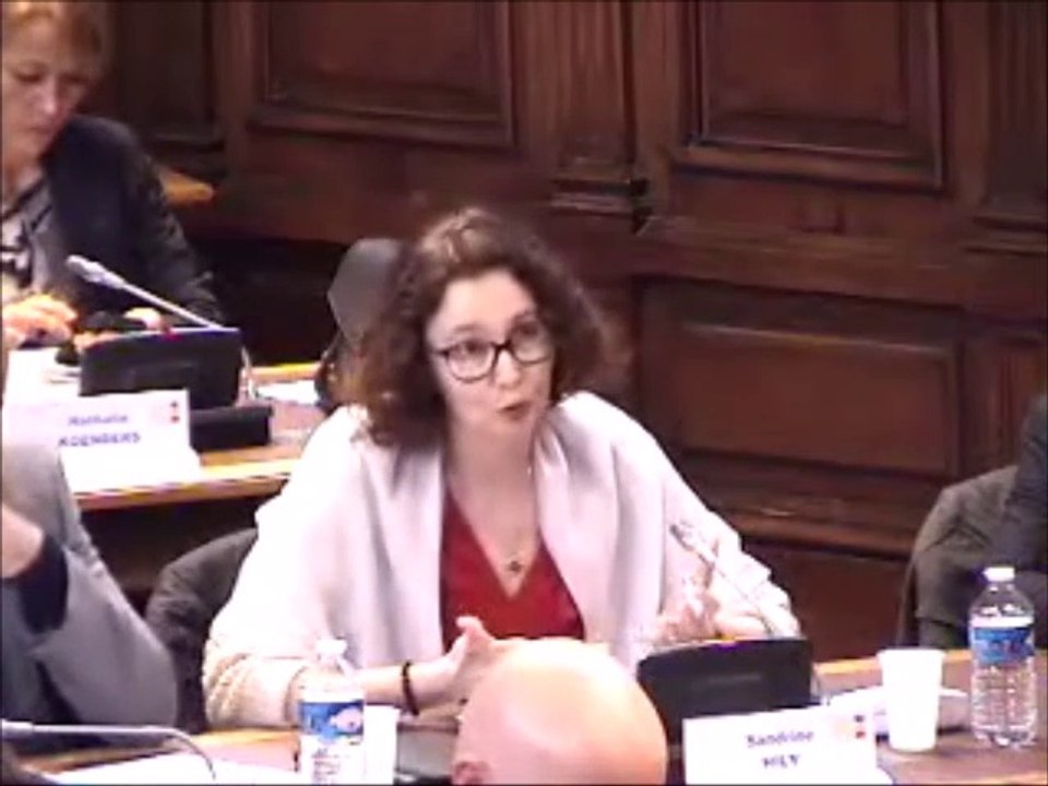 Sandrine HILY. Rapport d'information sur le programme départemental d'économie circulaire. 8 avril 2019
