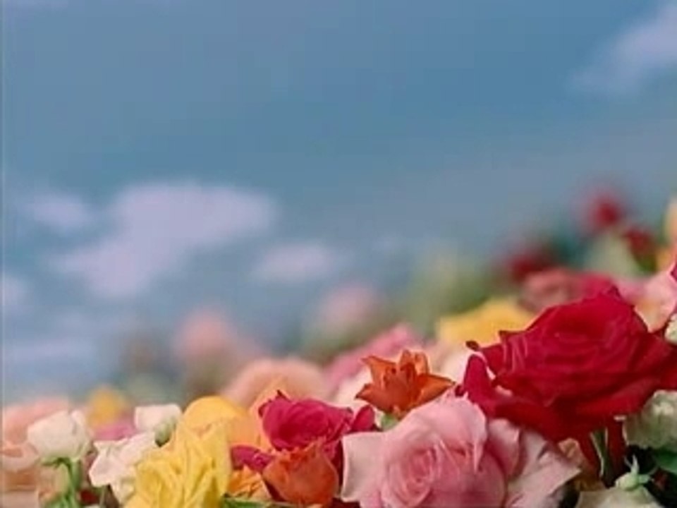 KANEBO CM: Sala (15s) 2