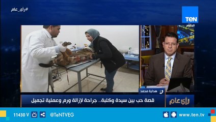 قصة حب بين سيدة وكلبة .. جراحة لإزالة ورم وعملية تجميل