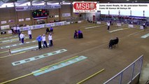 Seconde demi-finale, tir de précision féminin, France Tirs, Martigues 2019