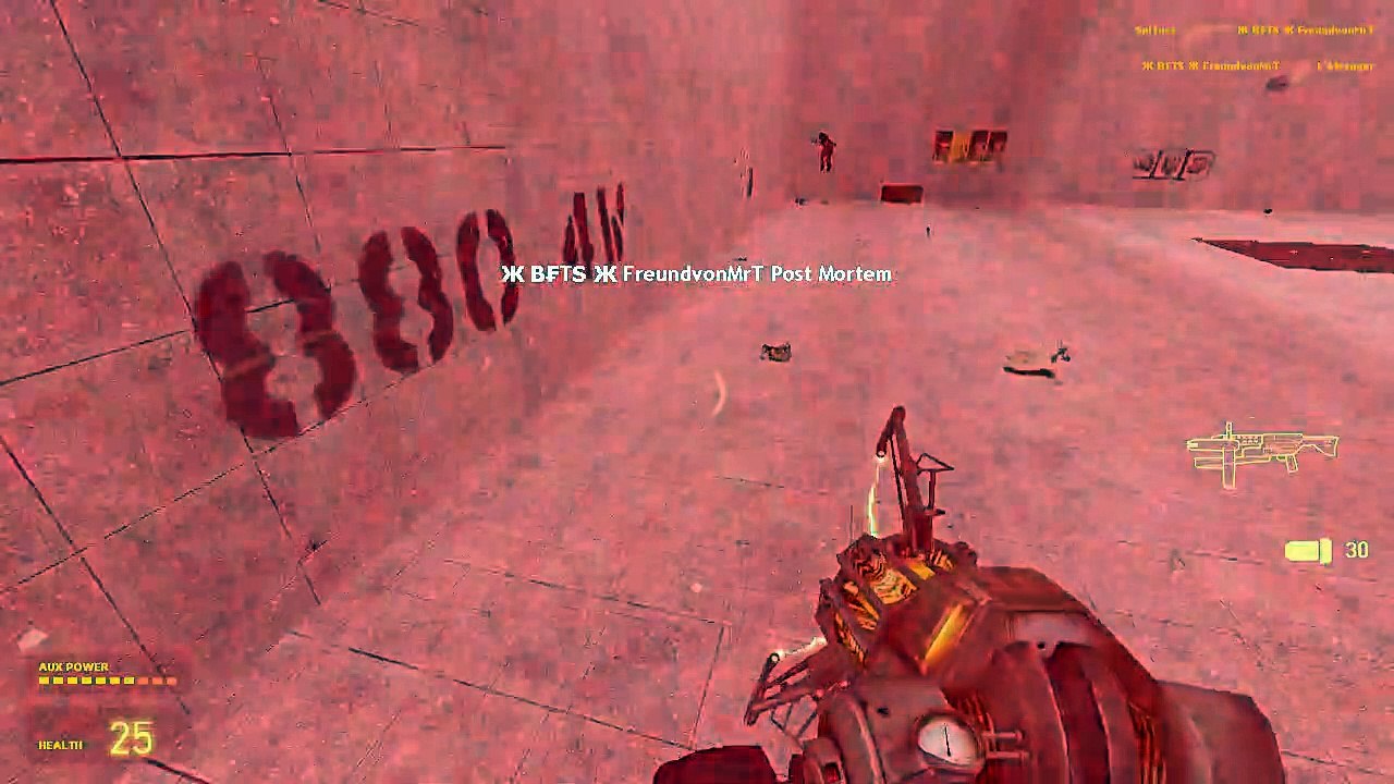 HALF LIFE no mercy between players