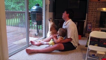Funniest Daddy and Baby Moments #2 ★ Funny Baby Fails Video