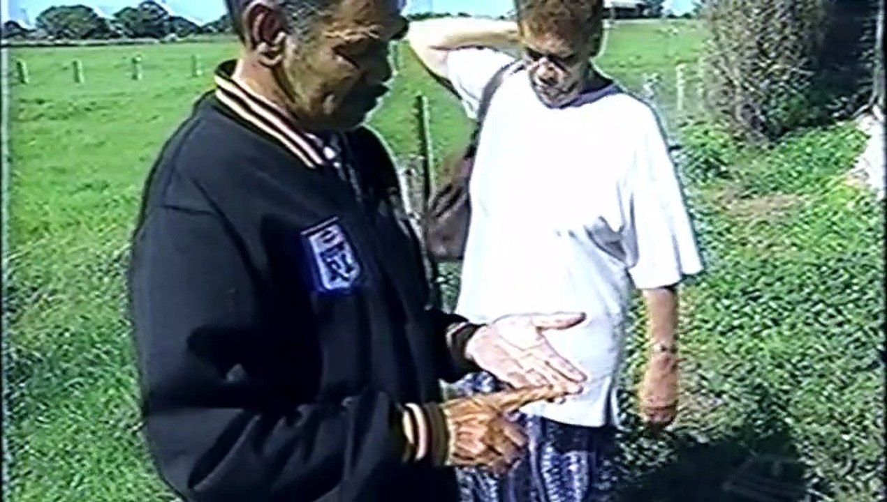 Bébés volés. Une Australie pure et blanche