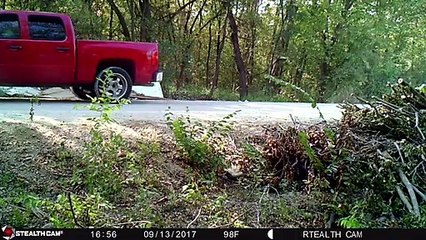 Trail Camera Catches  ( STOVE DUMPER )